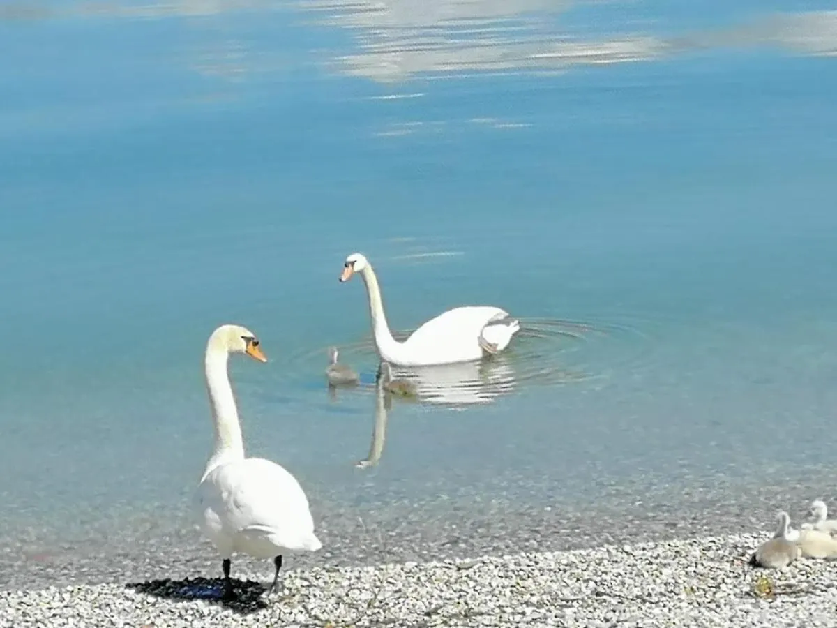 Casa Dolce Casa, A 2 Passi Dal Lago E Vicina A Varenna Lierna Holiday home